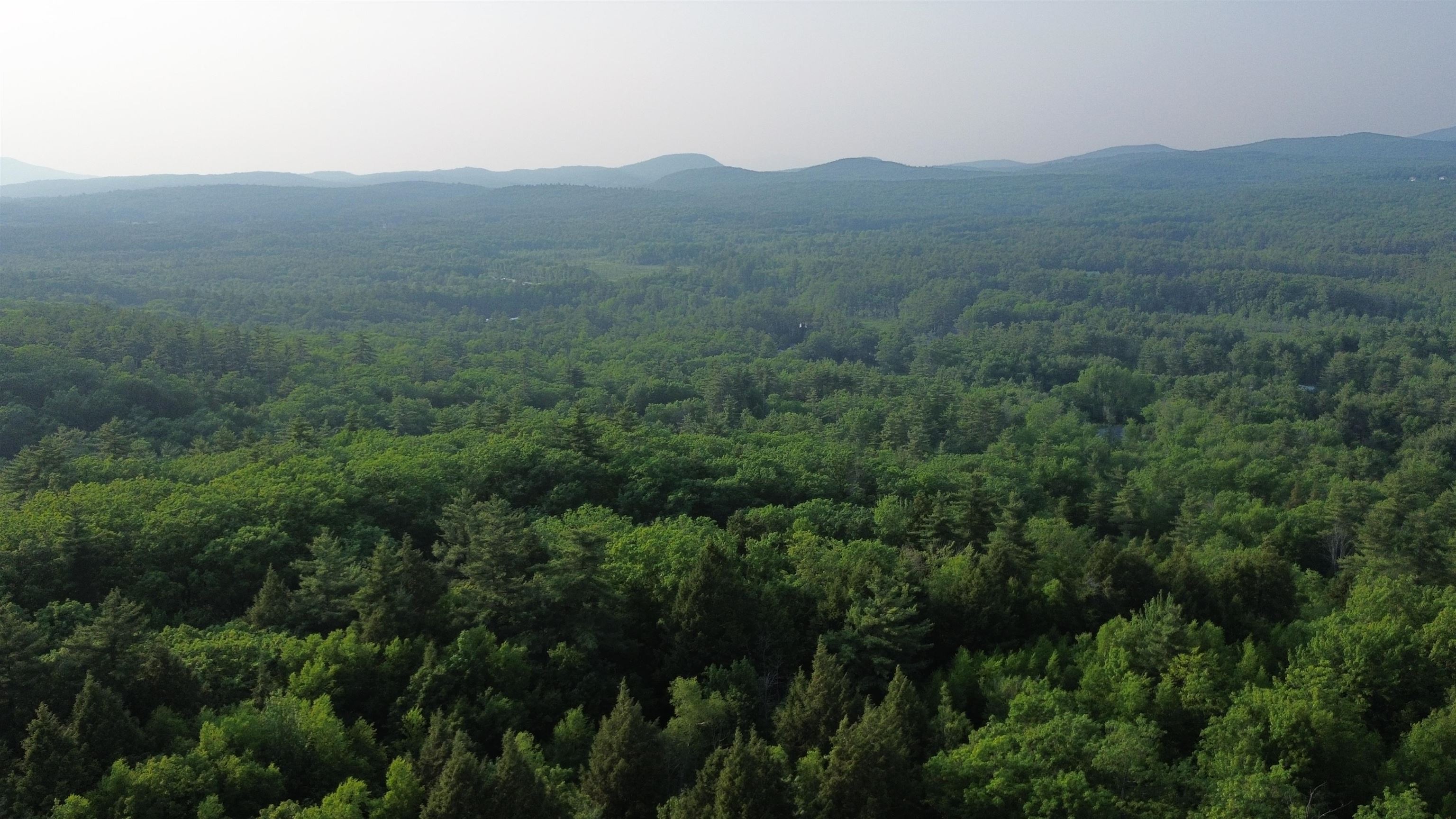 175 Valley Road New Durham, NH 03855 - Photo 7 of 18