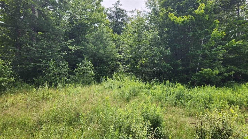 175 Valley Road New Durham, NH 03855 - Photo 10 of 18