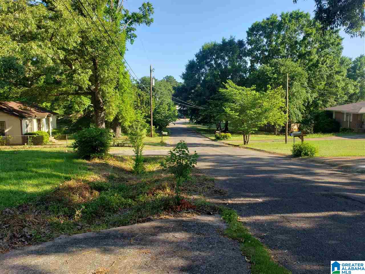 1101 Virginia Avenue Talladega, AL 35160 - Photo 2 of 19