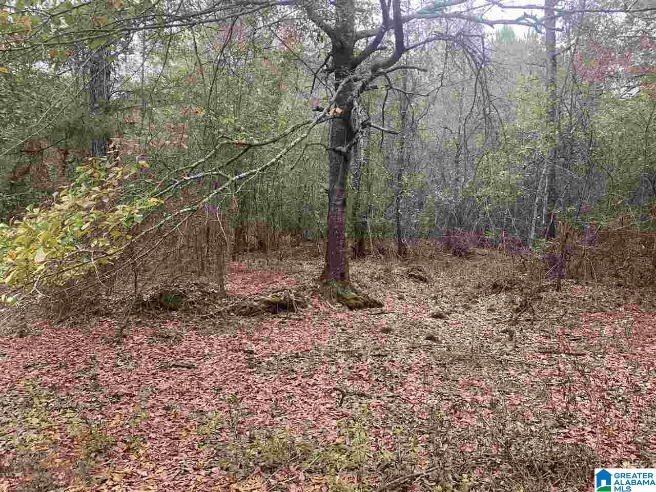 0 Homestead Drive, Unit 1 Springville, AL 35146 - Photo 17 of 32