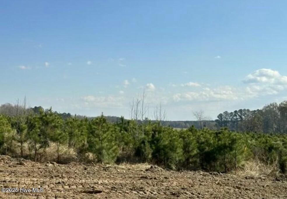 Lot 15 Good Shepherd Trail Spring Spring Hope, NC 27882 - Photo 2 of 3 tempImage7zoelW