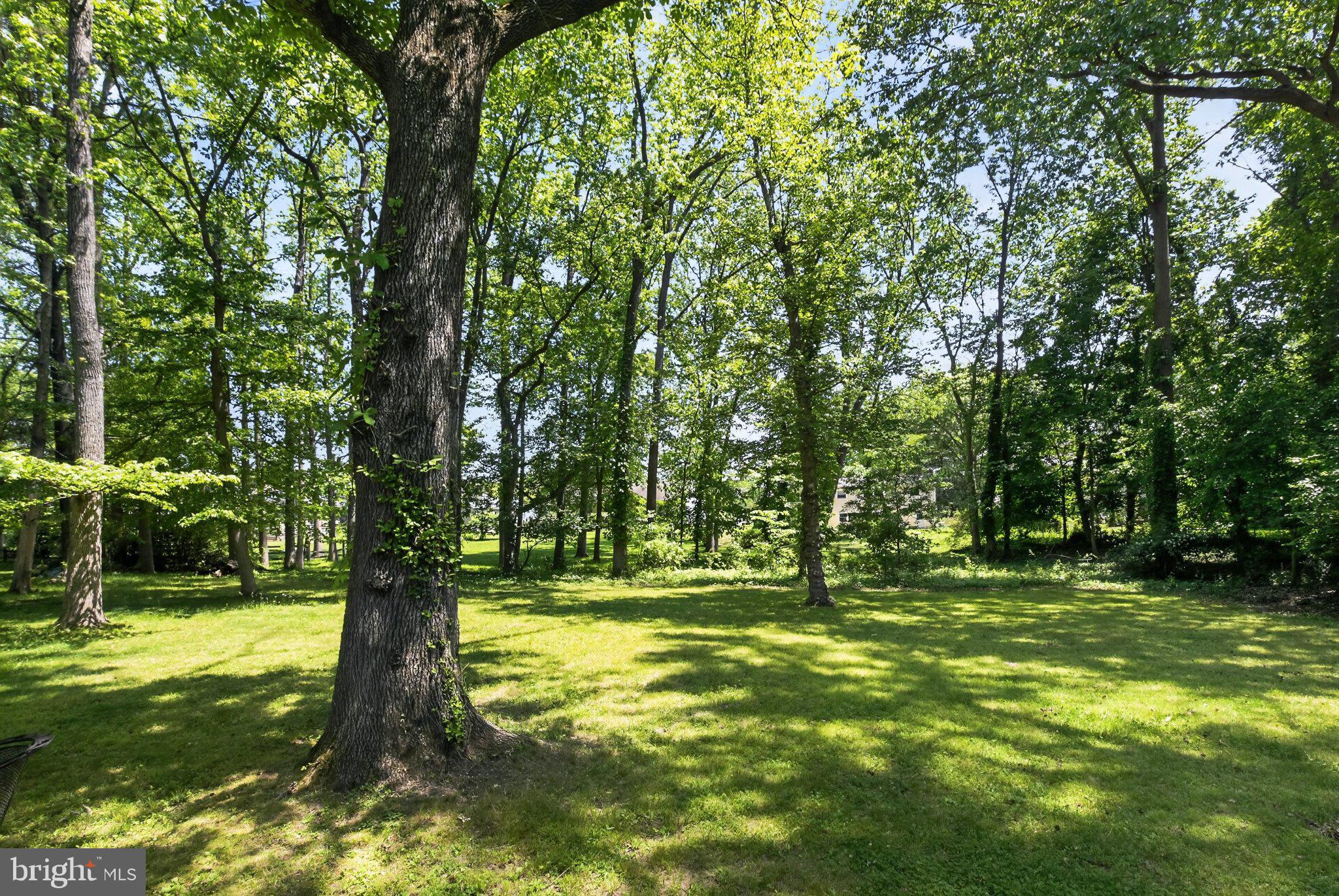 119 Sharrowvale Road Cherry Hill, NJ 08034 - Photo 34 of 36 Lush green oasis under towering trees.