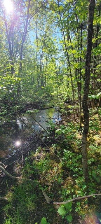 835 Gardner Creek Road Wade, ME 04786 - Photo 11 of 28 835 Gardner Creek Road (11)