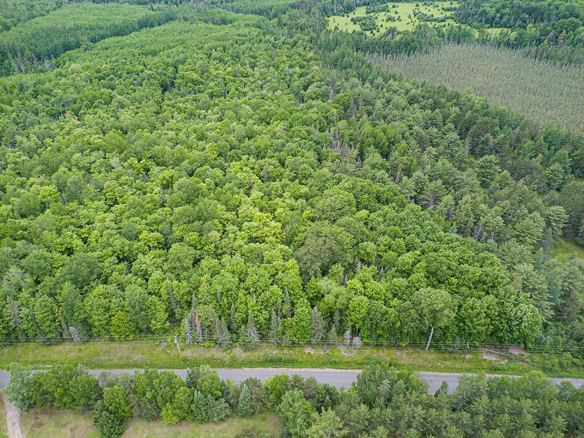 Off Monheim Road Conover, WI 54519 - Photo 2 of 28 Gallery Image 2