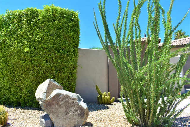 a view of a backyard