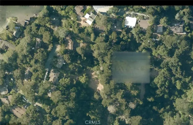 a view of a lake with a tree