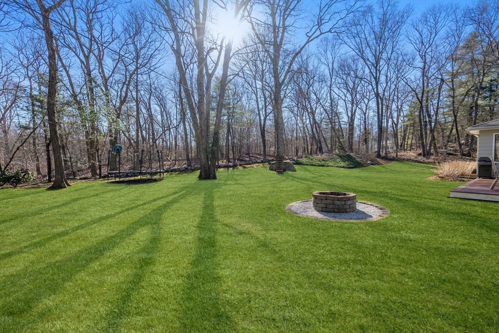 21 Gail Road Weston, MA 02493 - Photo 18 of 19 a view of a park with large trees