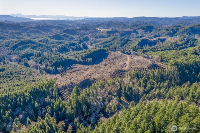 an aerial view of mountain and tree