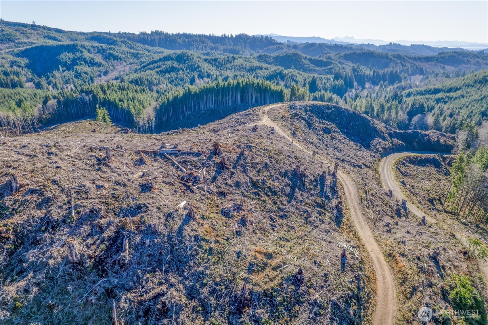 0 West Deep River Road Naselle, WA 98638 - Photo 11 of 29 a view of a dry dry field with mountains in the background