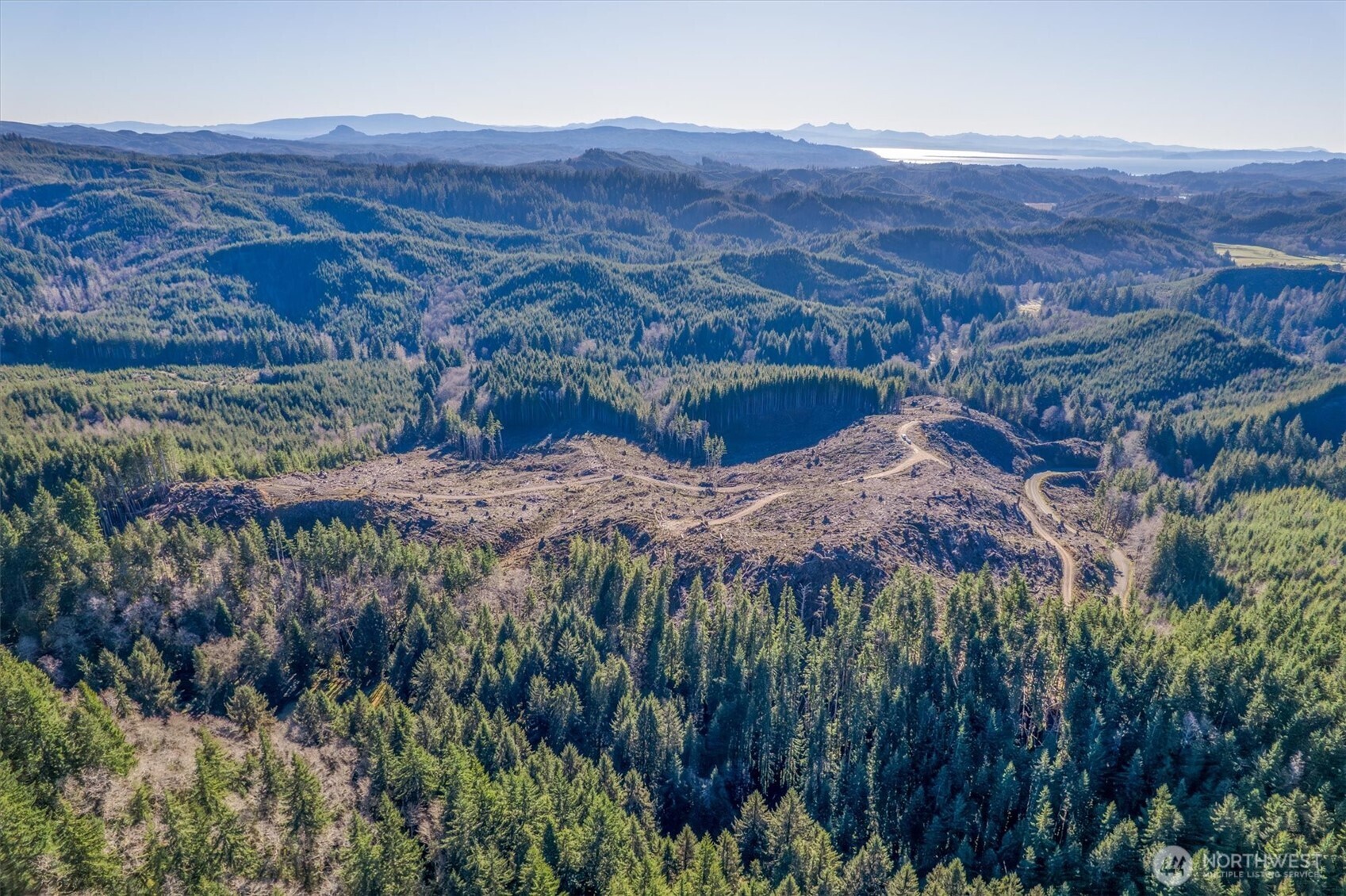 0 West Deep River Road Naselle, WA 98638 - Photo 16 of 29 a view of a lush green hillside and houses