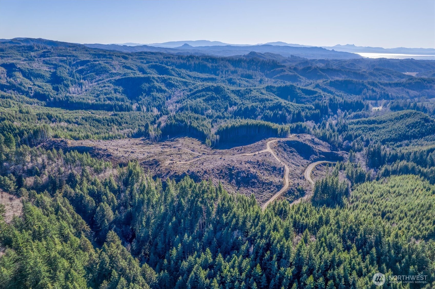 0 West Deep River Road Naselle, WA 98638 - Photo 17 of 29 a view of a lush green field