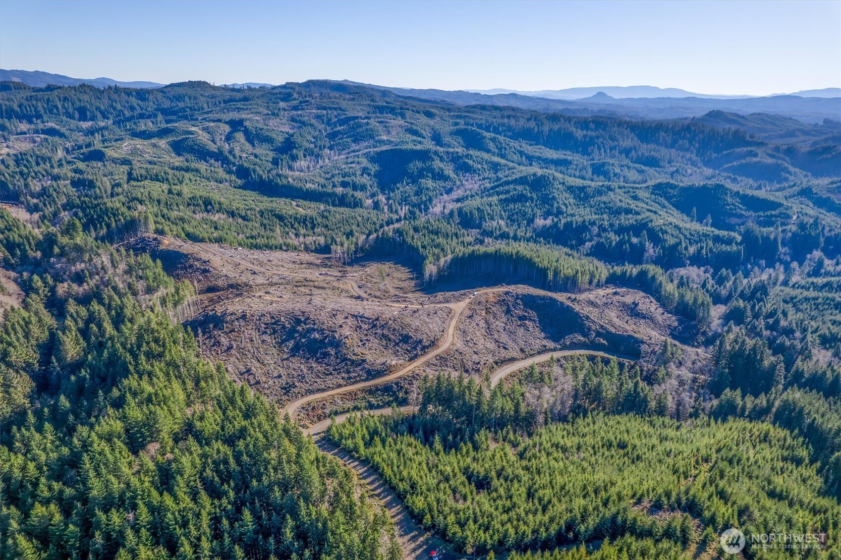 0 West Deep River Road Naselle, WA 98638 - Photo 18 of 29 an aerial view of mountain and tree