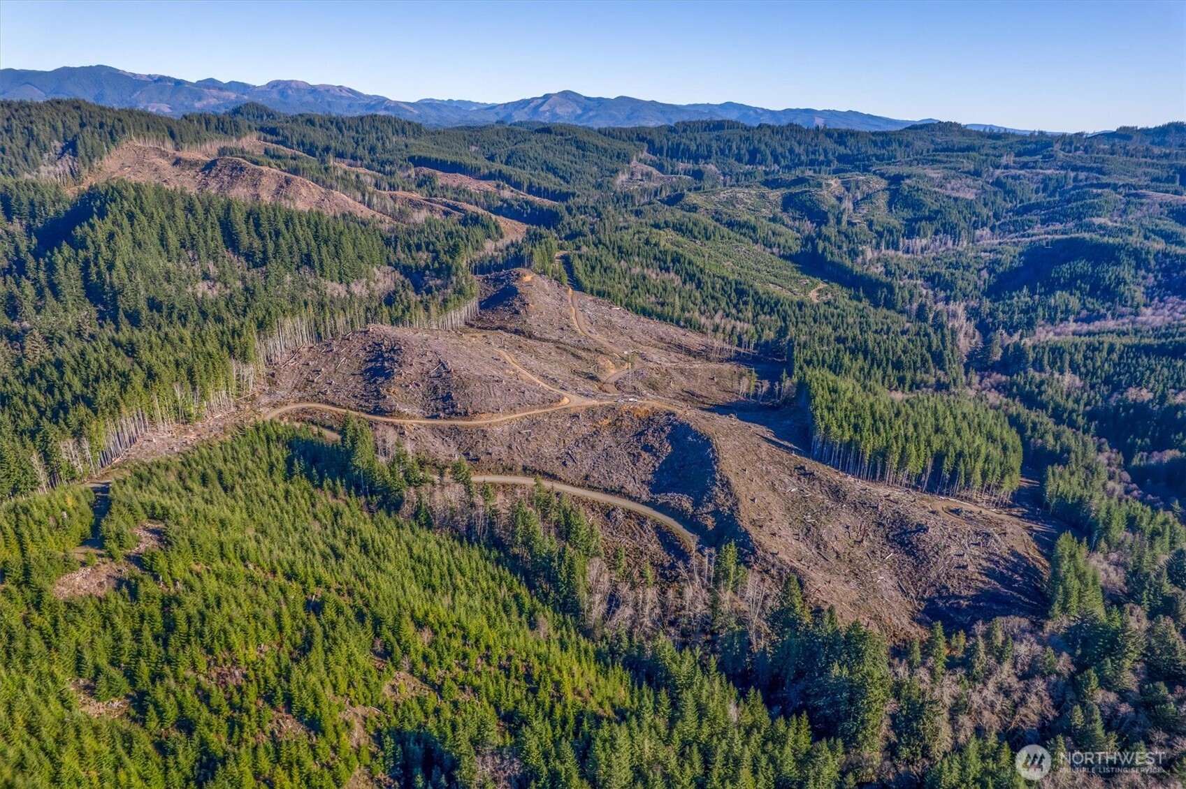 0 West Deep River Road Naselle, WA 98638 - Photo 20 of 29 a view of a lush green hillside and a houses