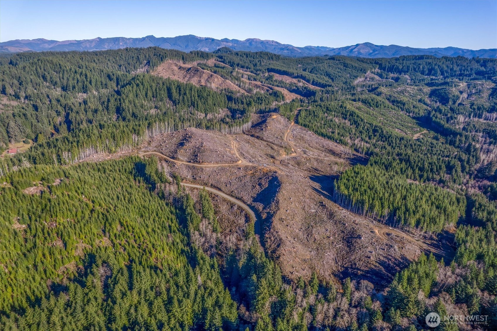 0 West Deep River Road Naselle, WA 98638 - Photo 21 of 29 a view of a house with a mountain and a forest