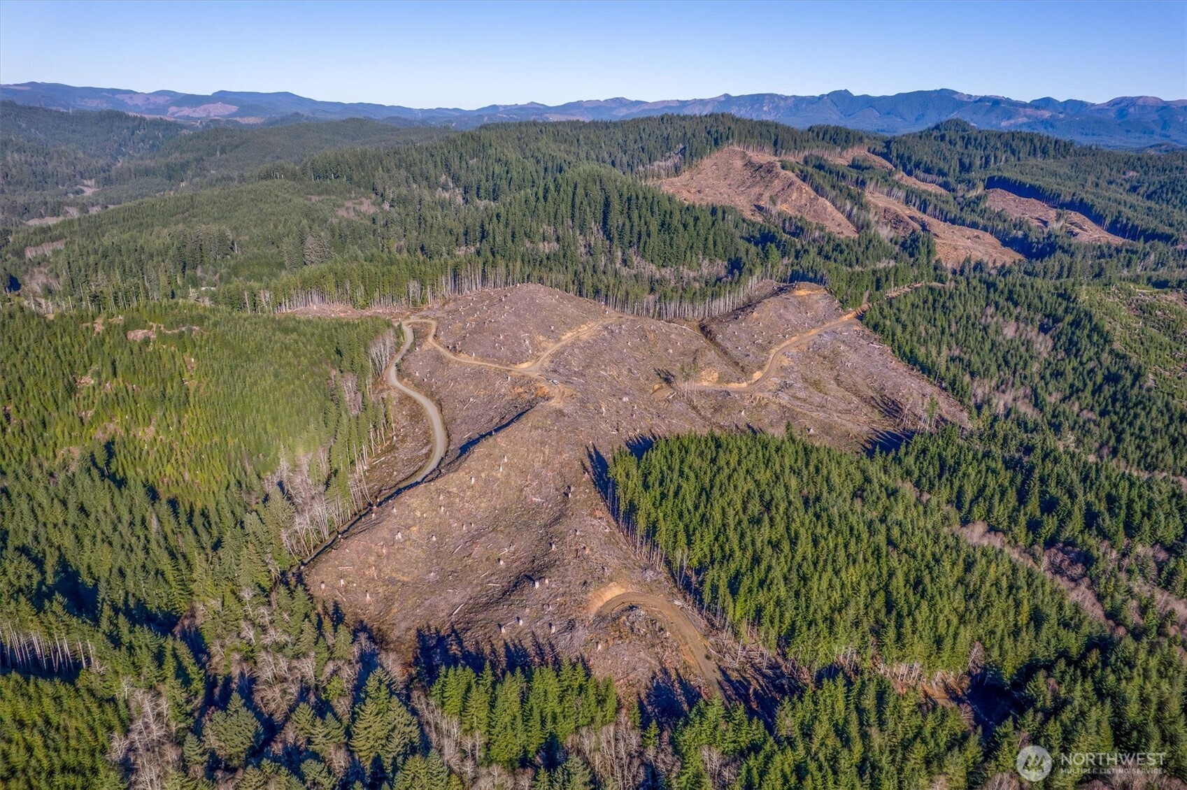 0 West Deep River Road Naselle, WA 98638 - Photo 22 of 29 a view of a lush green hillside and a houses