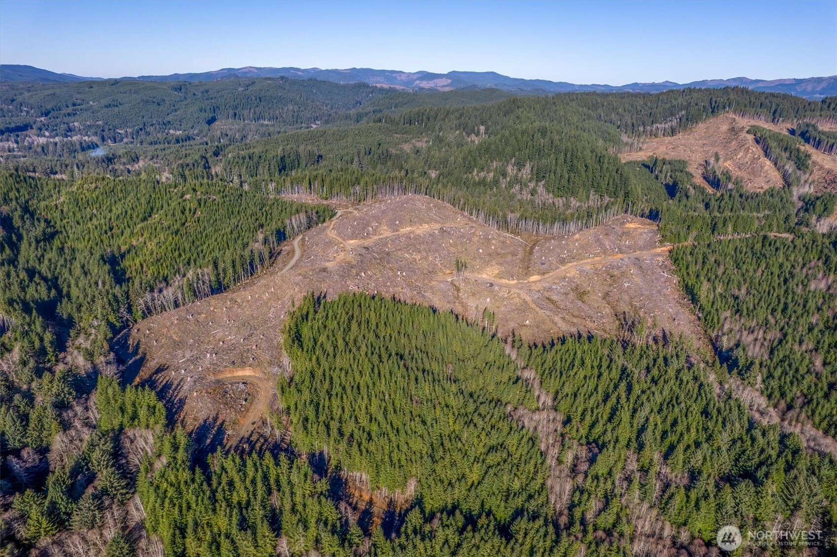 0 West Deep River Road Naselle, WA 98638 - Photo 23 of 29 an aerial view of a house with mountain view