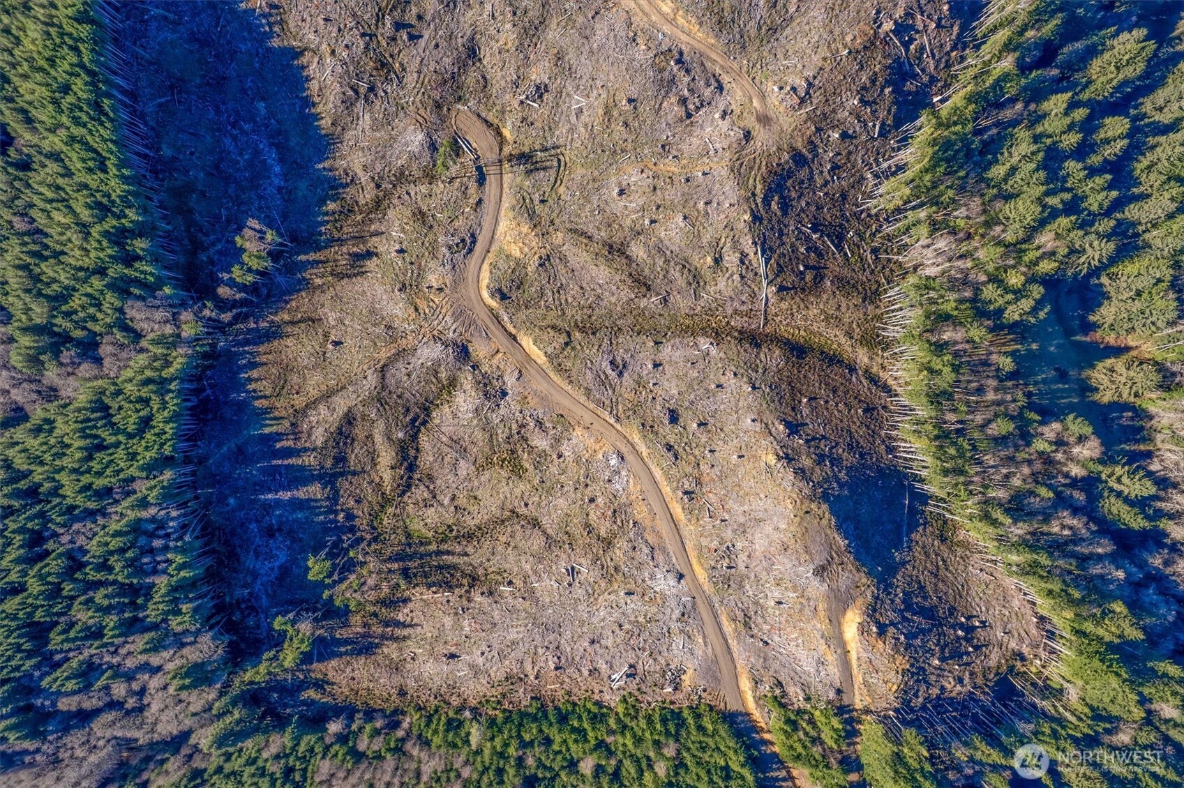 0 West Deep River Road Naselle, WA 98638 - Photo 25 of 29