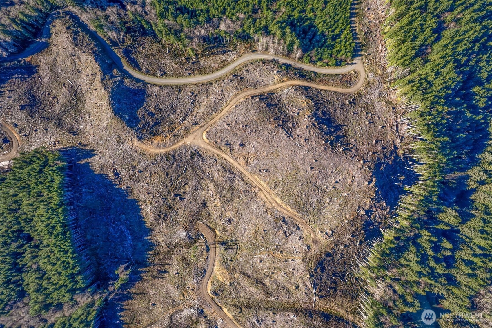 0 West Deep River Road Naselle, WA 98638 - Photo 26 of 29 a view of a yard with a tree