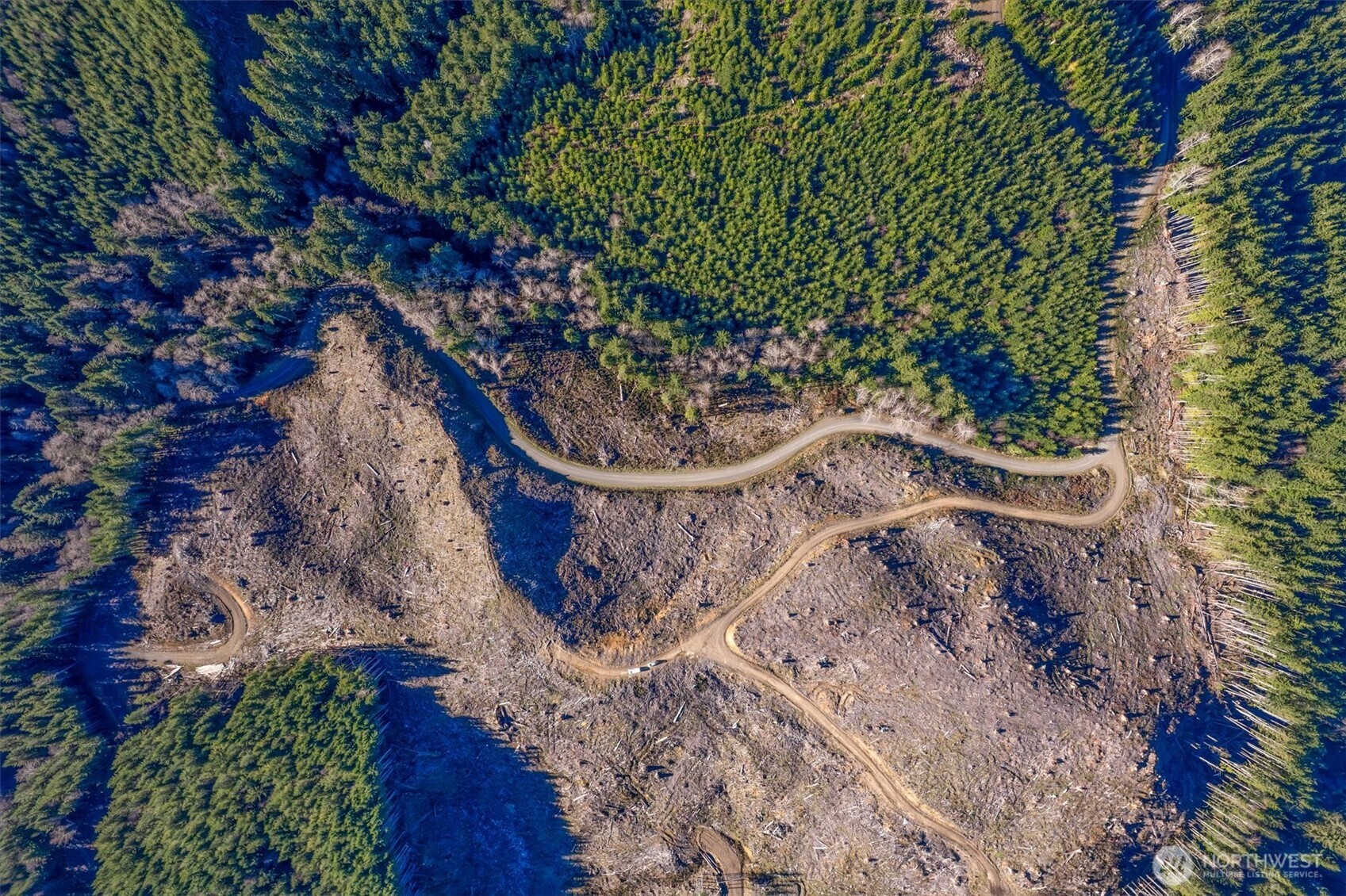 0 West Deep River Road Naselle, WA 98638 - Photo 27 of 29 a view of a tree in a yard
