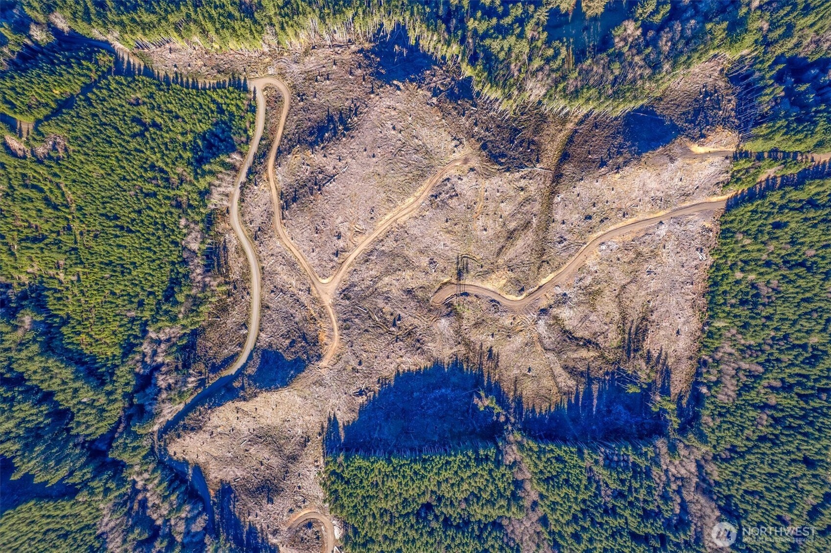 0 West Deep River Road Naselle, WA 98638 - Photo 28 of 29 a view of yard