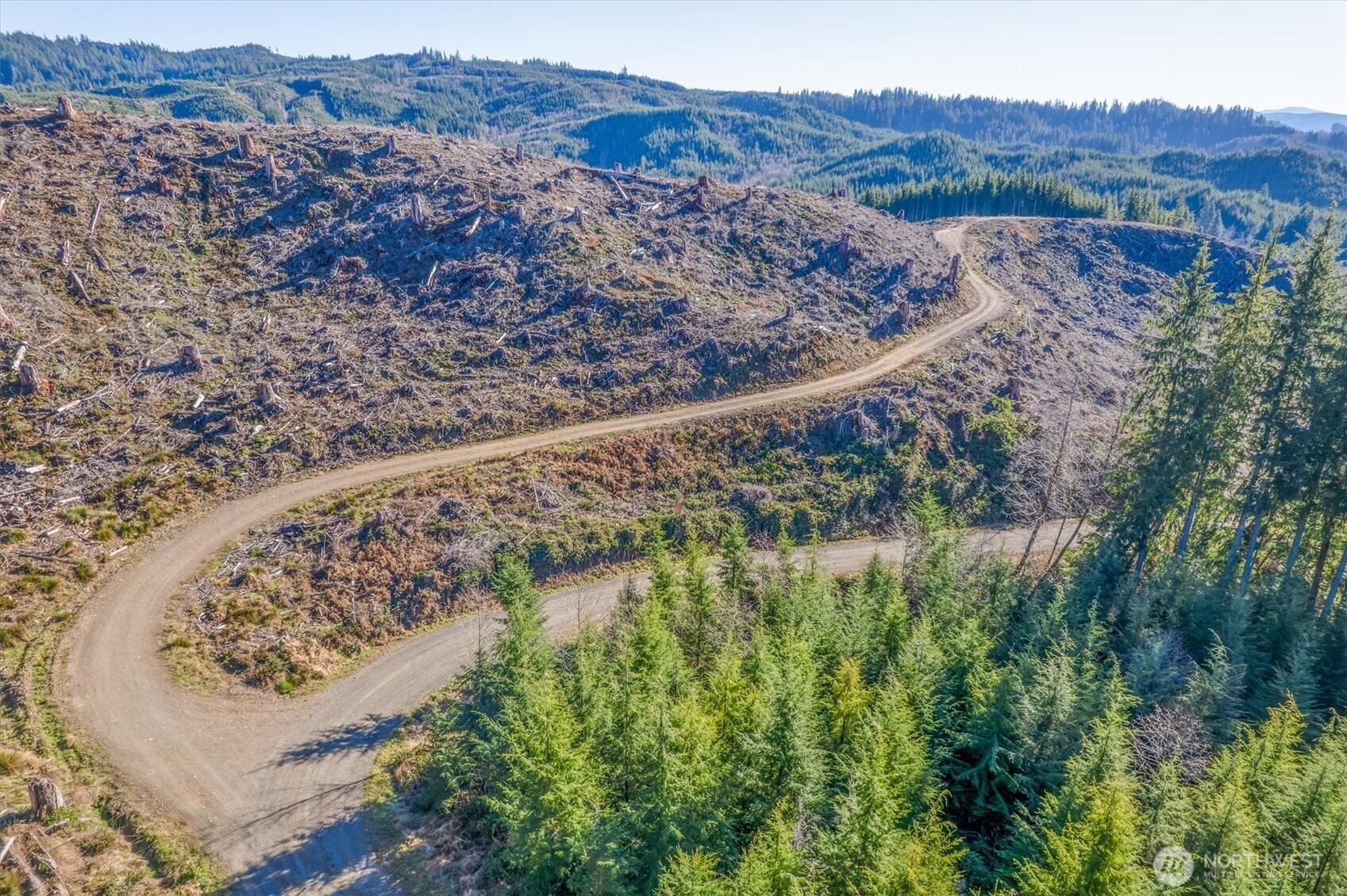 0 West Deep River Road Naselle, WA 98638 - Photo 4 of 29 a view of a forest with a forest