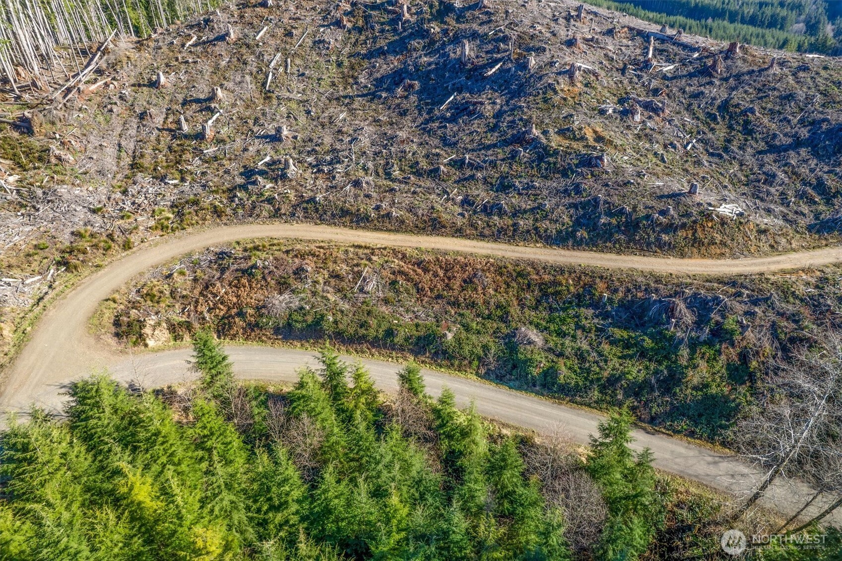 0 West Deep River Road Naselle, WA 98638 - Photo 5 of 29 a view of a lake with a yard
