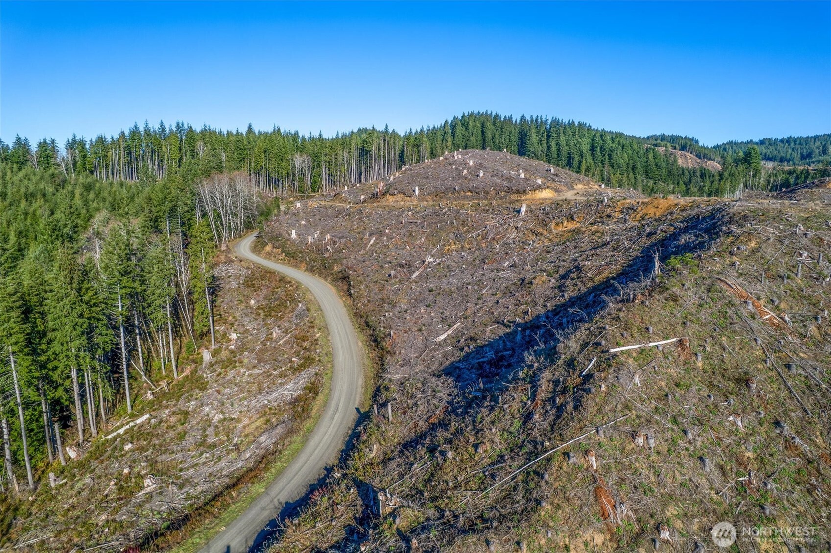 0 West Deep River Road Naselle, WA 98638 - Photo 6 of 29 a view of a forest with a forest
