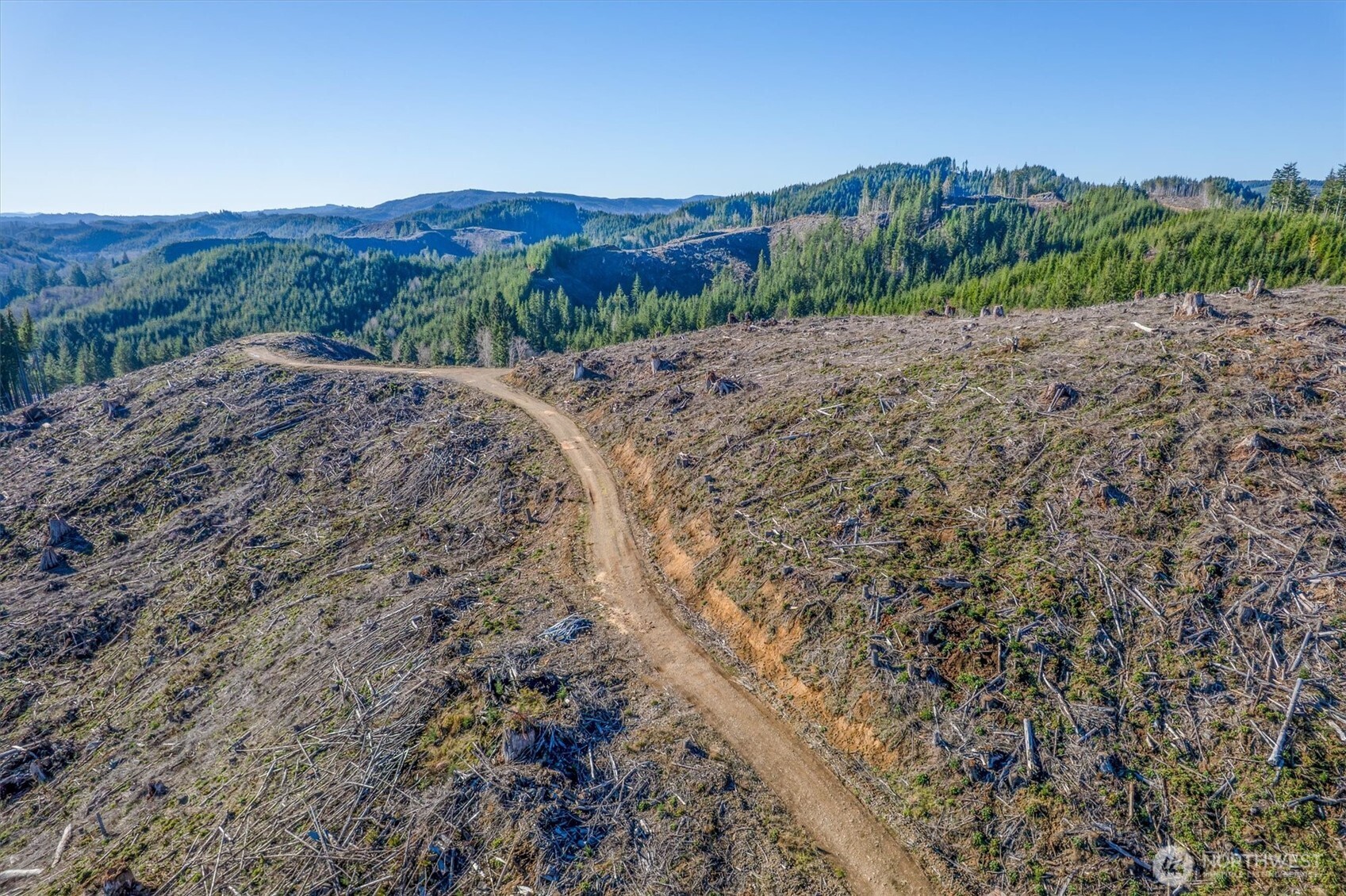 0 West Deep River Road Naselle, WA 98638 - Photo 7 of 29 a view of a dry yard with mountains in the background