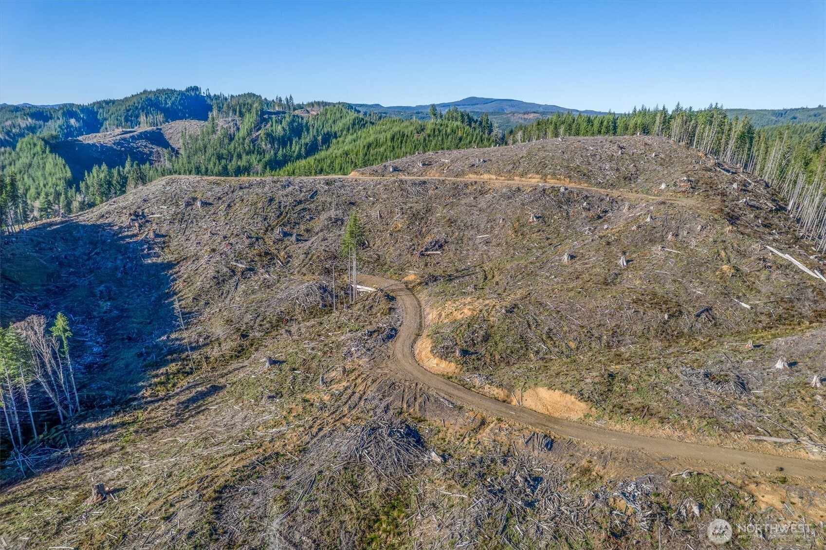 0 West Deep River Road Naselle, WA 98638 - Photo 8 of 29 a view of a road with a yard
