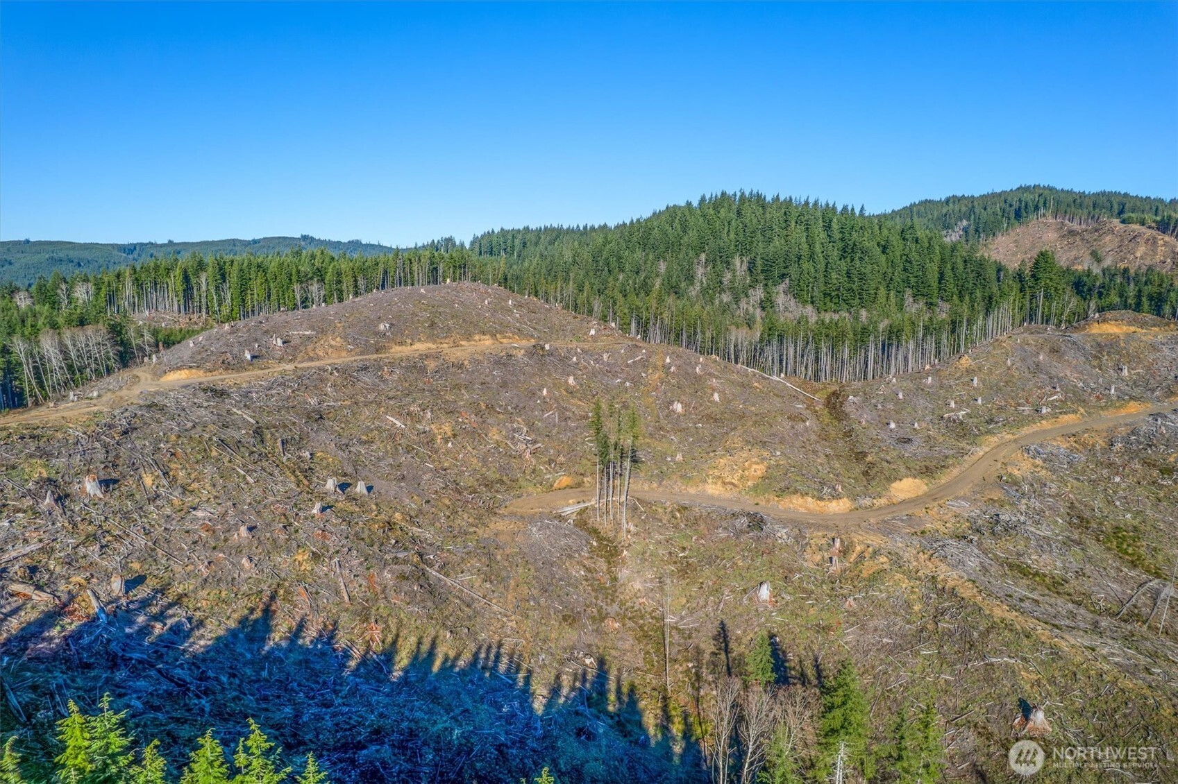 0 West Deep River Road Naselle, WA 98638 - Photo 9 of 29 a view of a lake with mountains in the background