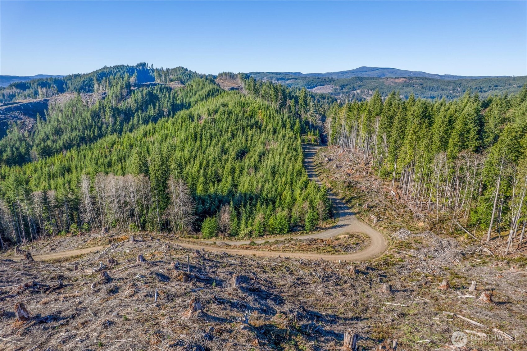 0 West Deep River Road Naselle, WA 98638 - Photo 10 of 29 a view of a lush green field with mountains in the background