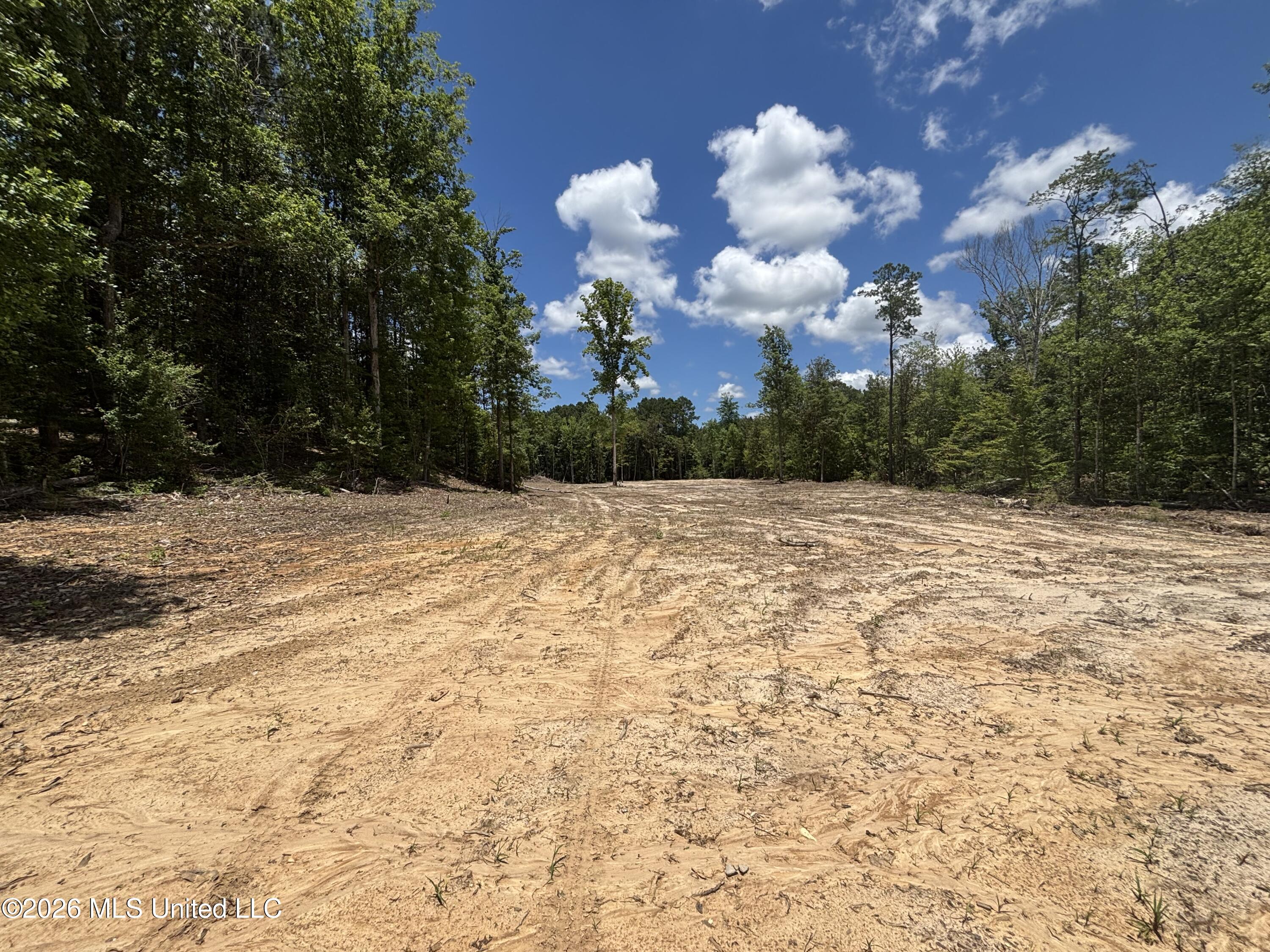 Stump Road Crosby, MS 39633 - Photo 39 of 60 IMG_4381