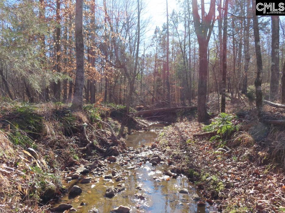 637 Cook Road Ridgeway, SC 29130 - Photo 12 of 51