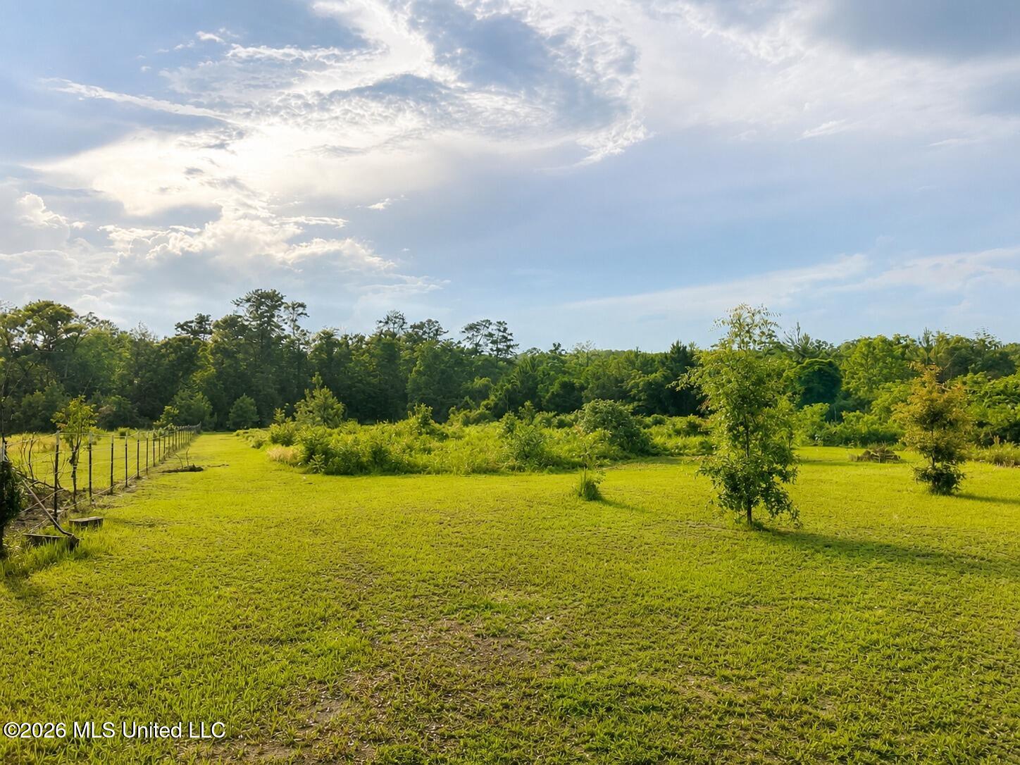 1882 McInnis Vernal Road Lucedale, MS 39452 - Photo 9 of 20 709169236_1287484893501588_5882999145215