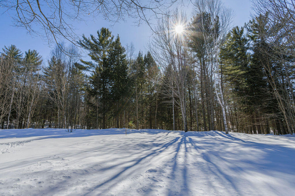 42 Dixfield Road Weld, ME 04285 - Photo 60 of 89 taylor-kaminsky-photo-28