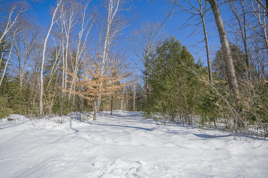 42 Dixfield Road Weld, ME 04285 - Photo 61 of 89 taylor-kaminsky-photo-36