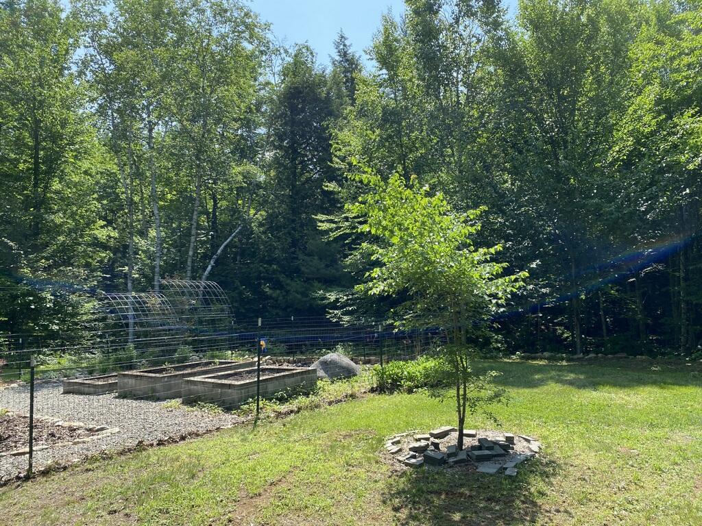 42 Dixfield Road Weld, ME 04285 - Photo 78 of 89 Outside Raised Bed Garden