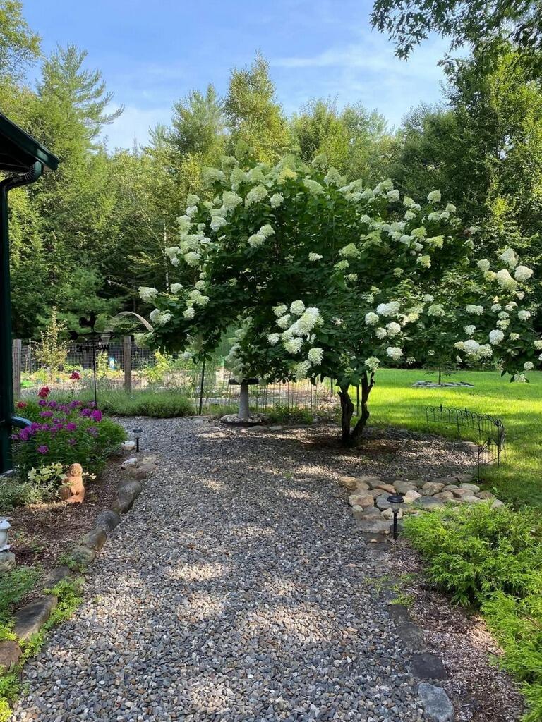 42 Dixfield Road Weld, ME 04285 - Photo 80 of 89 Outside Summer 3