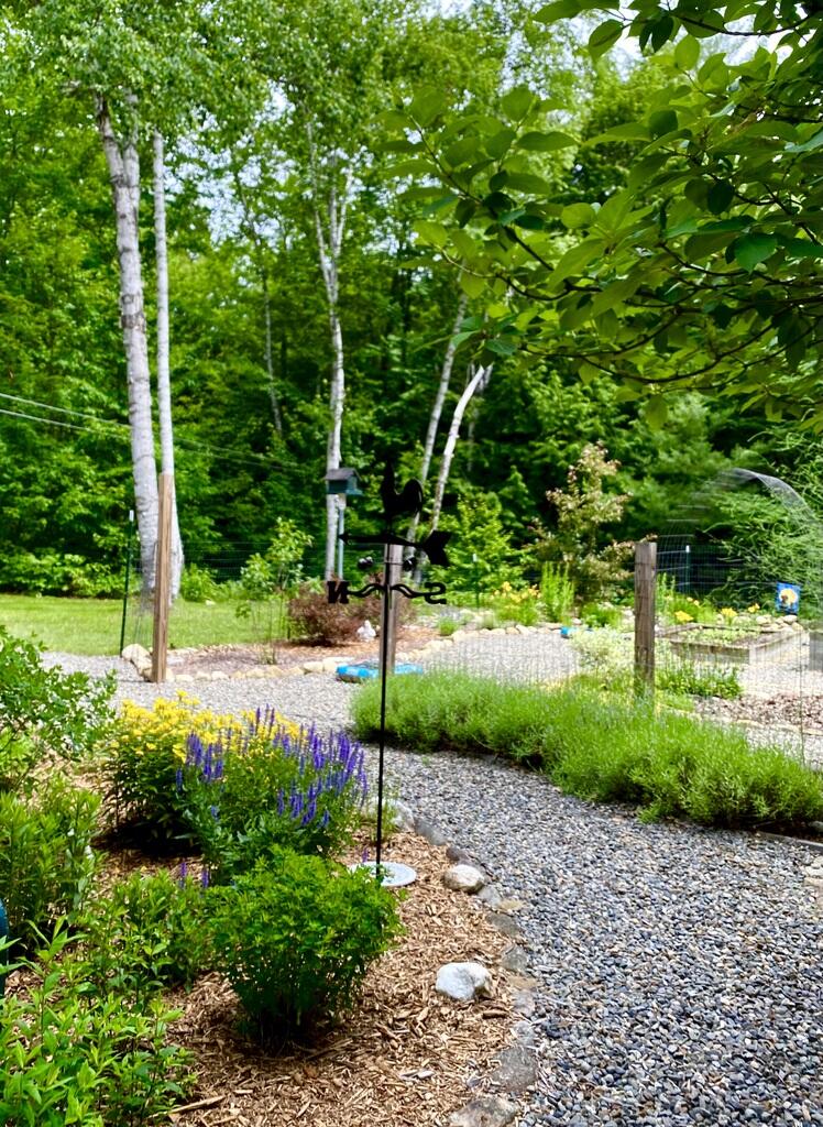 42 Dixfield Road Weld, ME 04285 - Photo 81 of 89 Outside garden beds