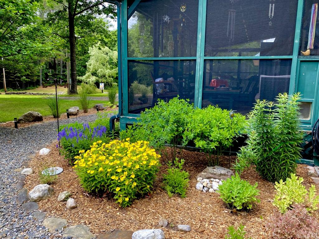 42 Dixfield Road Weld, ME 04285 - Photo 82 of 89 Outside Summer