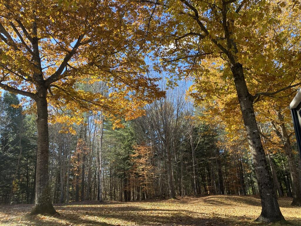 42 Dixfield Road Weld, ME 04285 - Photo 84 of 89 Outside in Fall