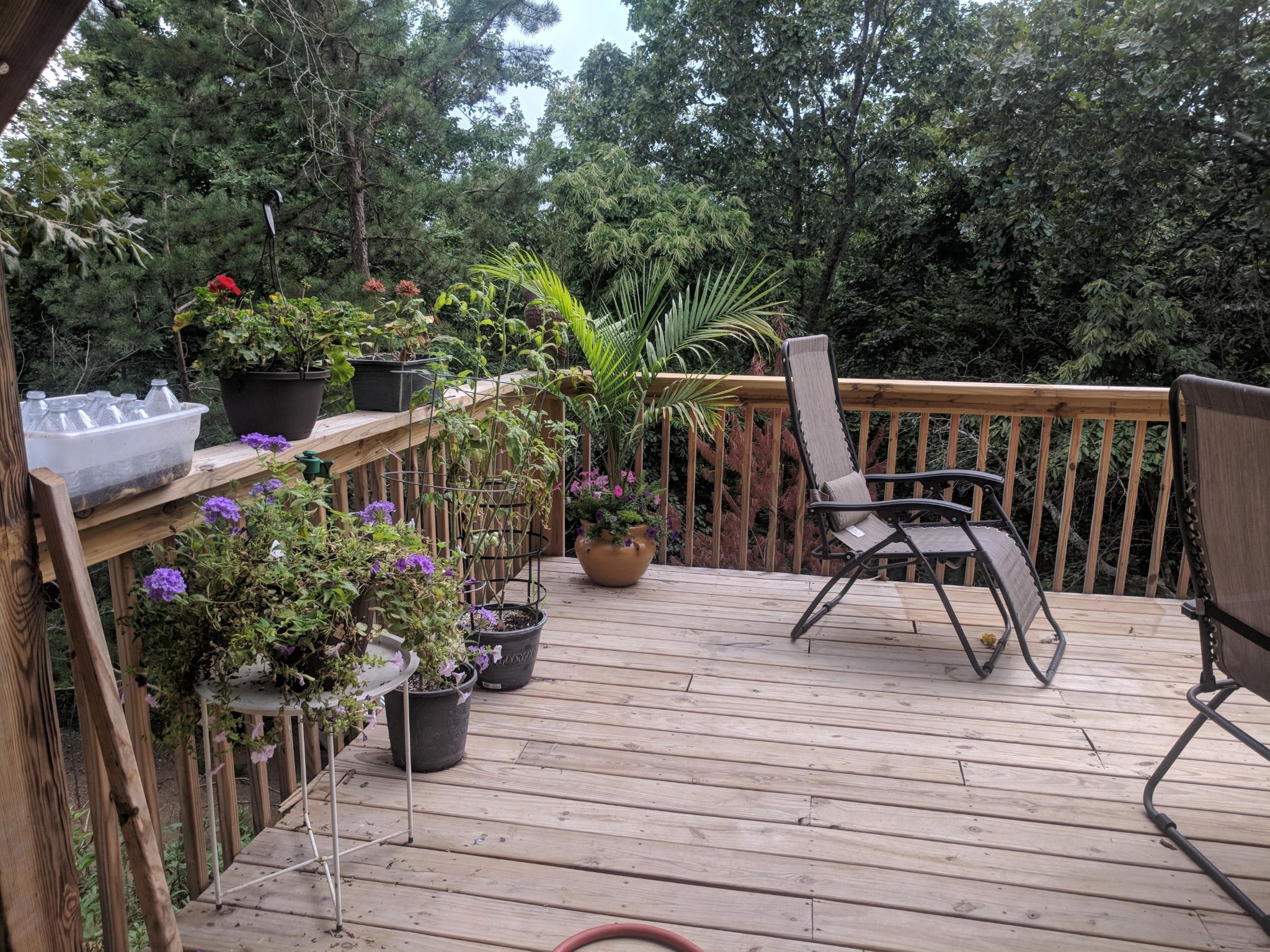 277 Shady Road Oliver Springs, TN 37840 - Photo 23 of 38 Gallery Image 23