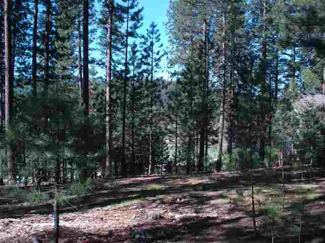3306 Chandler Road Quincy, CA 95971 - Photo 1 of 8 Gallery Image 1