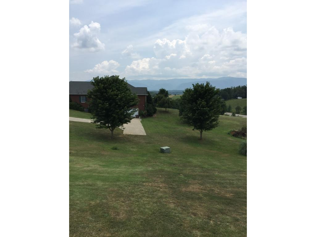 1075 Mt Hebron Road Greeneville, TN 37743 - Photo 20 of 22 View from back of house