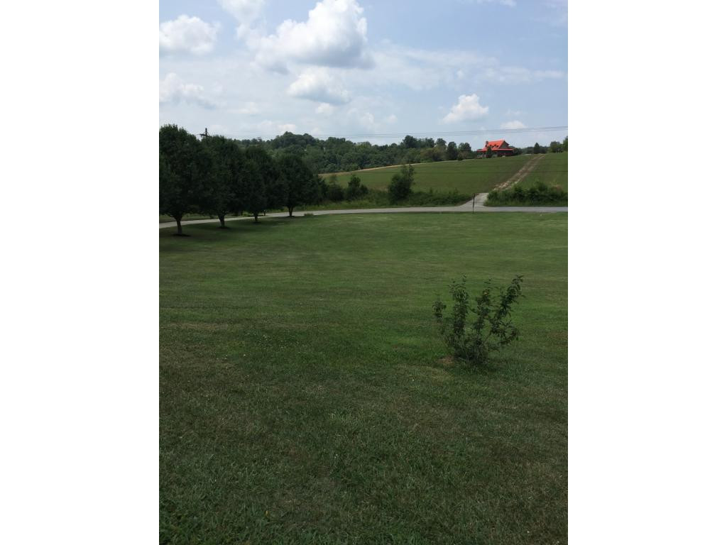 1075 Mt Hebron Road Greeneville, TN 37743 - Photo 21 of 22 View from front of house