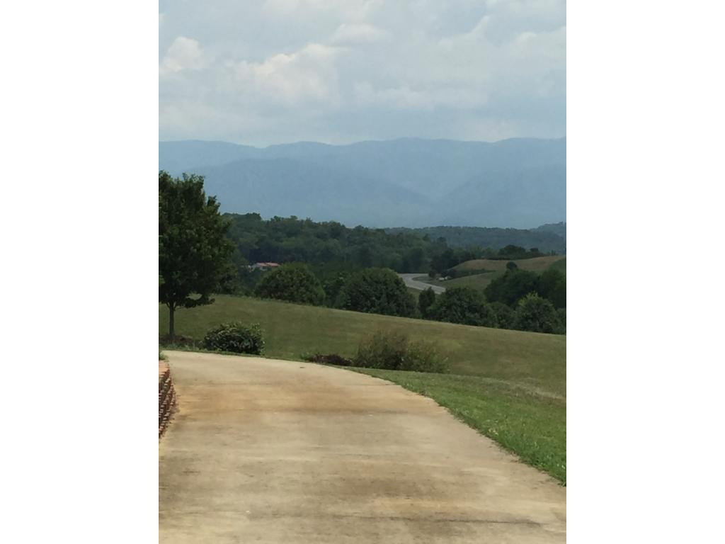 1075 Mt Hebron Road Greeneville, TN 37743 - Photo 22 of 22 View coming up driveway