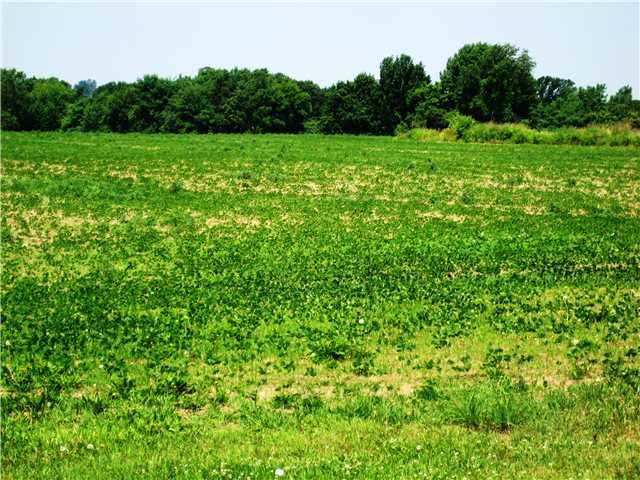 0 Quarry Road Caledonia, NY 14423 - Photo 1 of 1 Land