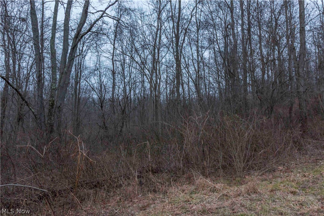 542 State Route Magnolia, OH 44643 - Photo 25 of 26