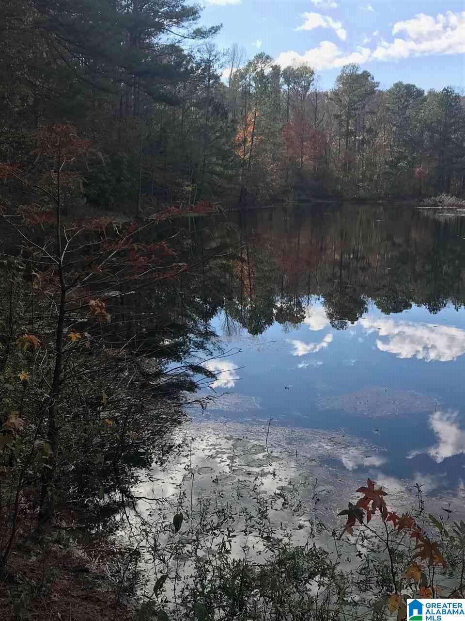 3415 Logan Martin Dam Road, Unit 48 / ACRES Vincent, AL 35178 - Photo 23 of 32