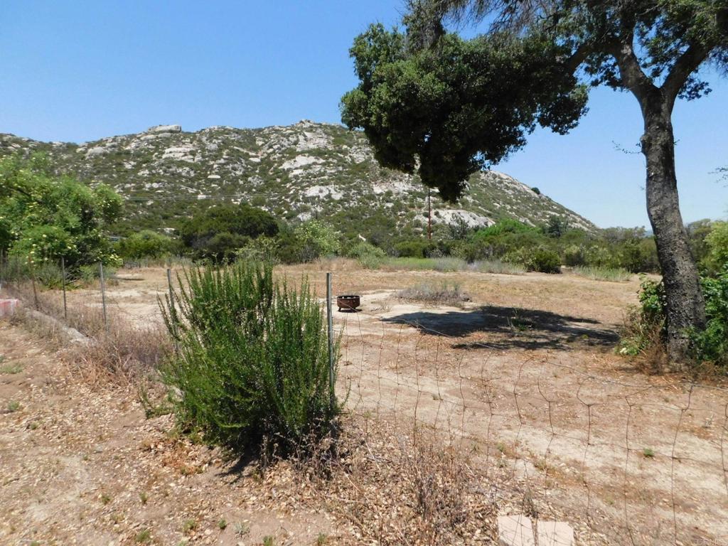 1124 Far Valley Road Campo, CA 91906 - Photo 16 of 21 a view of a yard with plants and a bench
